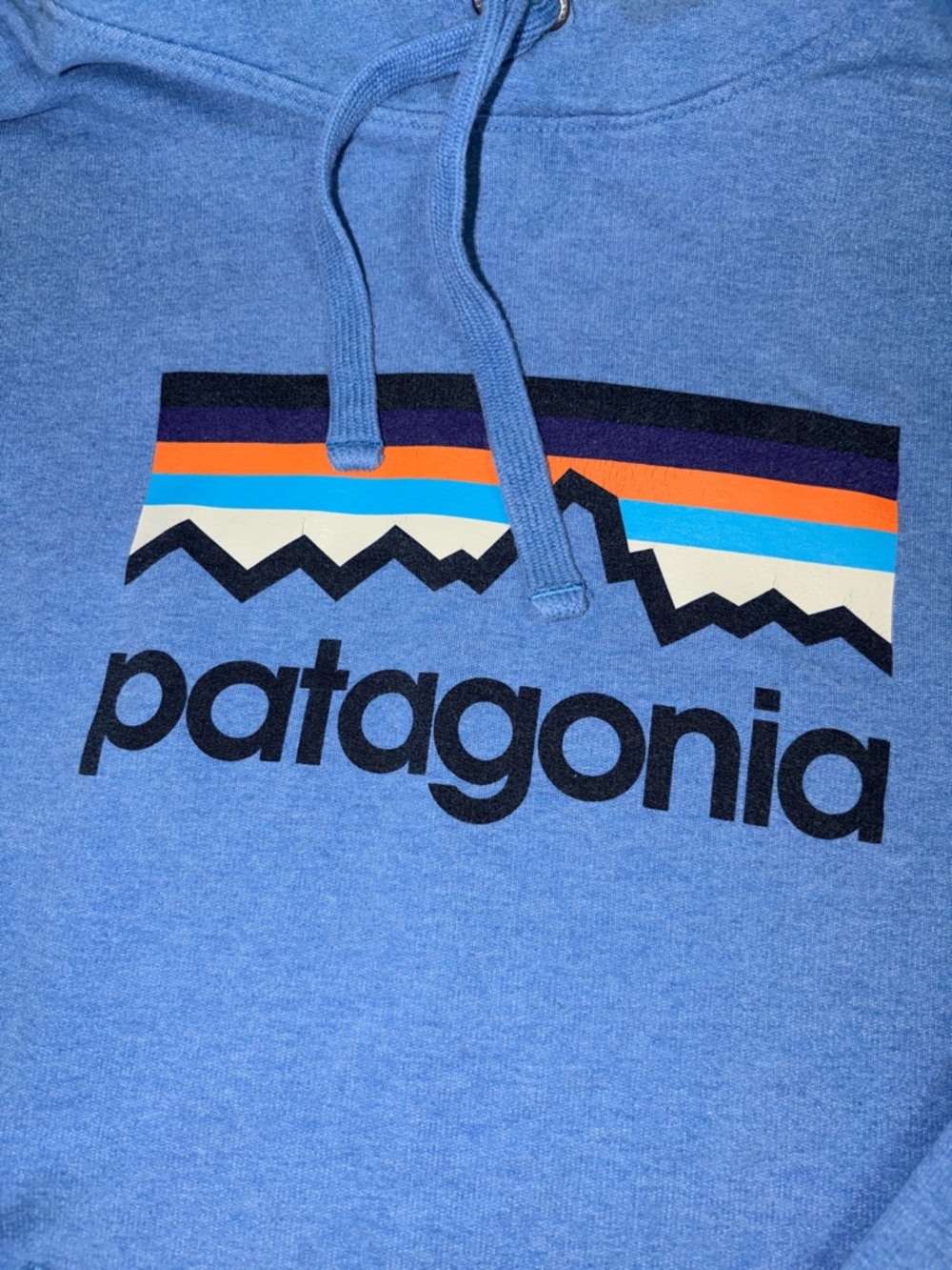 Patagonia Light Blue Pullover Hoodie with Multicolor Logo Uprisal Organic Cotton